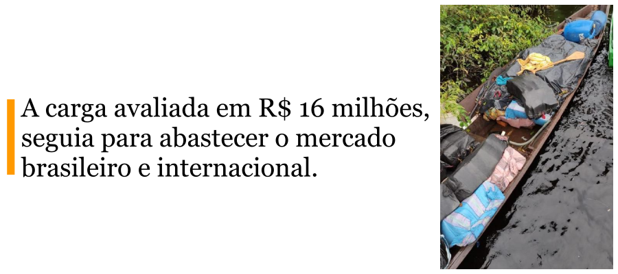 Amazonas: droga apreendida no Arquipélago de Anavilhanas é avaliada em duas toneladas - News Rondônia