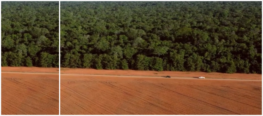 Tomada por pistas clandestinas, Amazônia foi entregue aos criminosos; controle será um processo de recuperação pós-guerra - News Rondônia
