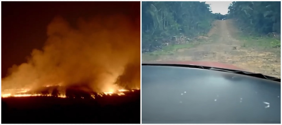 Tomada por pistas clandestinas, Amazônia foi entregue aos criminosos; controle será um processo de recuperação pós-guerra - News Rondônia