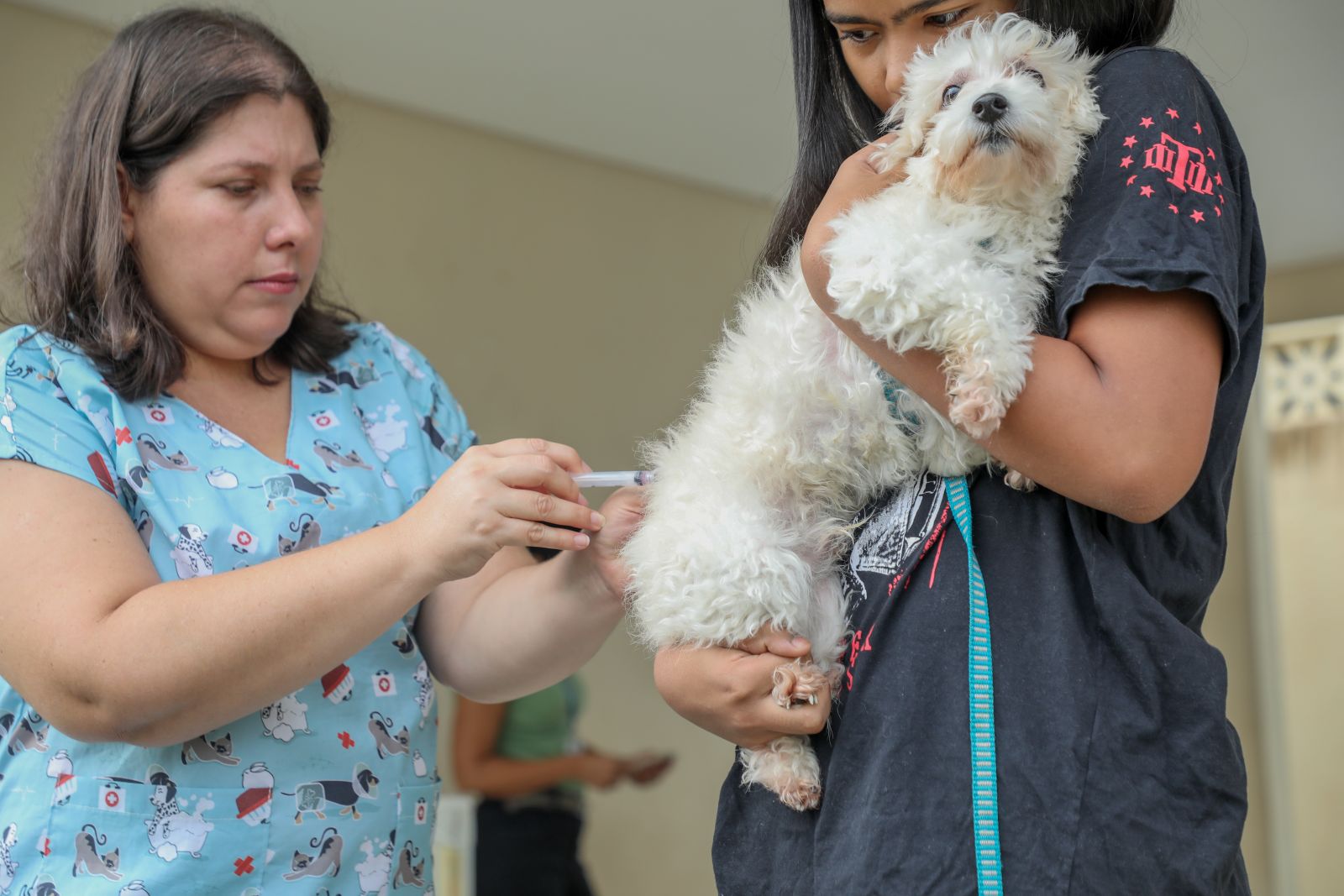 Vacinação antirrábica inicia no condomínio Bairro Novo - News Rondônia