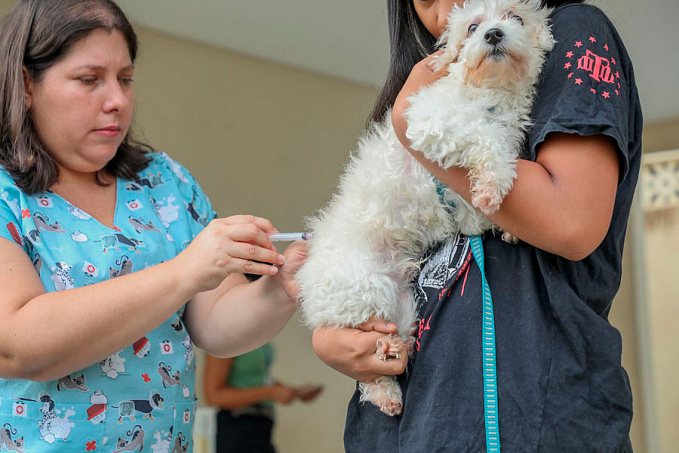 Vacinação antirrábica inicia no condomínio Bairro Novo - News Rondônia