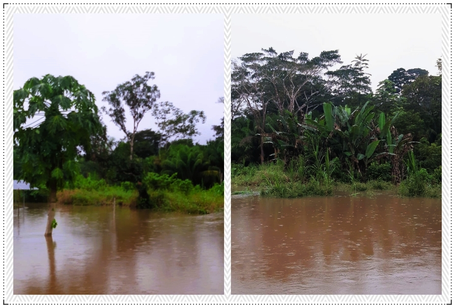 Rio Jacy transborda e ameaça indígenas Karipuna - News Rondônia