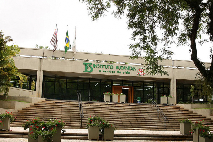 Vacina contra a dengue do Butantan atinge eficácia de 79,6% - News Rondônia