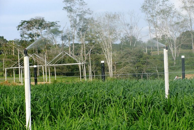 Rondônia Rural Show Internacional vai oportunizar conhecimento para visitantes e expositores - News Rondônia