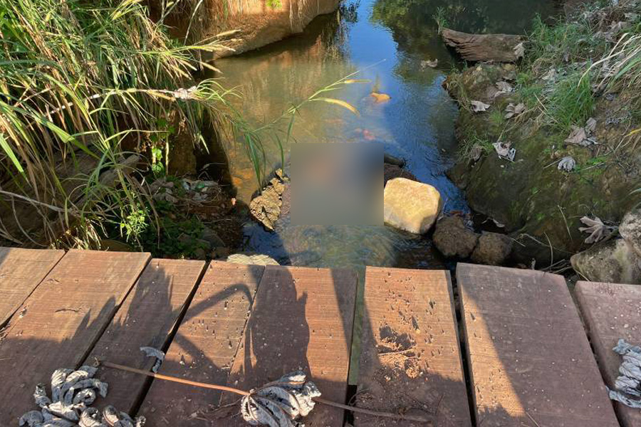 Corpo é encontrado dentro de riacho em Colorado do Oeste - News Rondônia