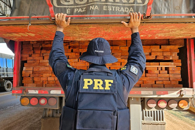 Em Ariquemes, PRF identifica transporte irregular de madeira - News Rondônia