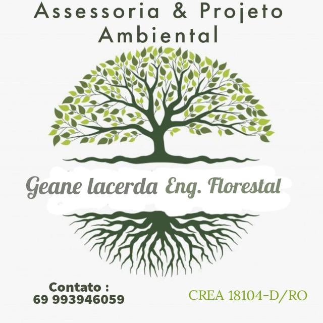 Recebimento da Licença Ambiental: COMERCIAL TIO NECO COMERCIO DE ALIMENTOS LTDA - News Rondônia