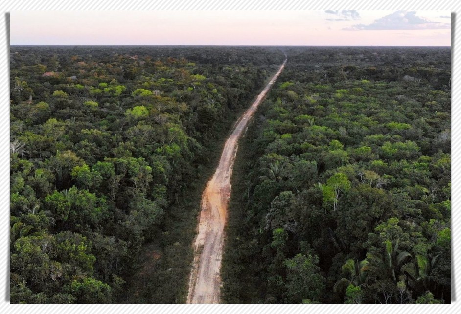 Reconstrução da BR-319 retorna ao cenário no governo Lula - News Rondônia
