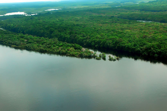 Governo lança operação contra o desmatamento na Amazônia - News Rondônia