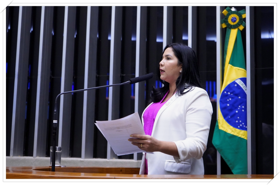 Cristiane Lopes protocolou Projeto de Lei que preconiza o estudo da Constituição Federal - News Rondônia