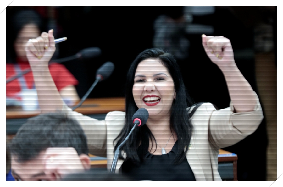 Cristiane Lopes protocolou Projeto de Lei que preconiza o estudo da Constituição Federal - News Rondônia