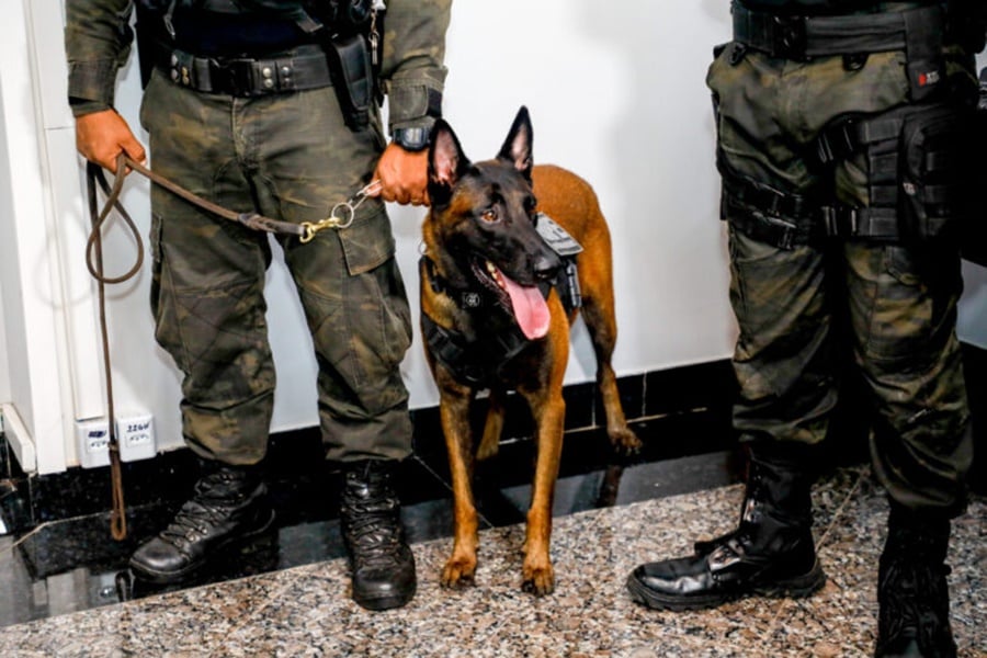 Sistema prisional de Rondônia recebe reforço de pistolas e fuzis modernos do Governo do Estado - News Rondônia