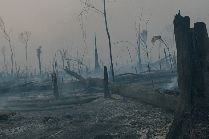 O Território concorre ao Cinema Eye Audience Choice Prize; vote e apoie a luta indígena na Amazônia - News Rondônia