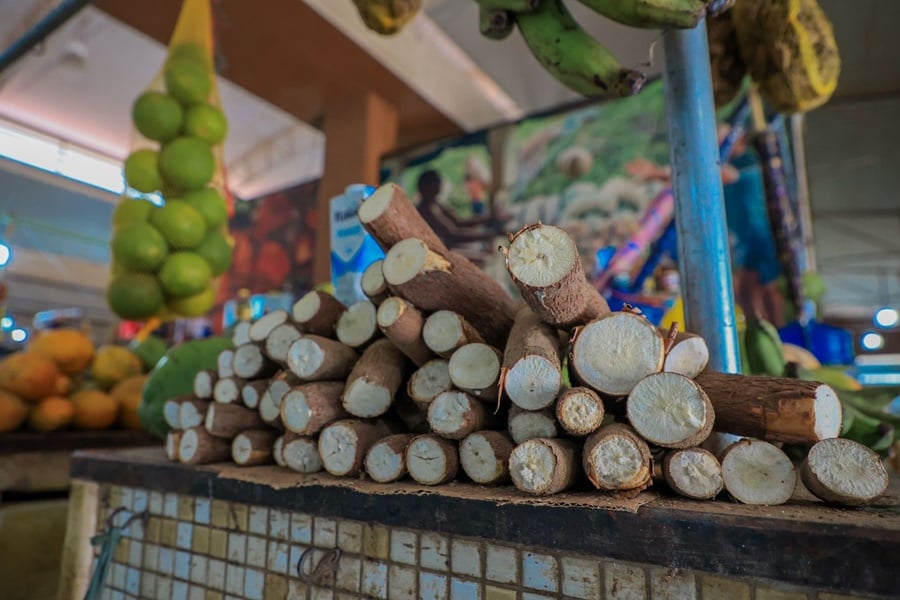 Porto Velho lidera na produção de banana, macaxeira, melancia e outras culturas - News Rondônia