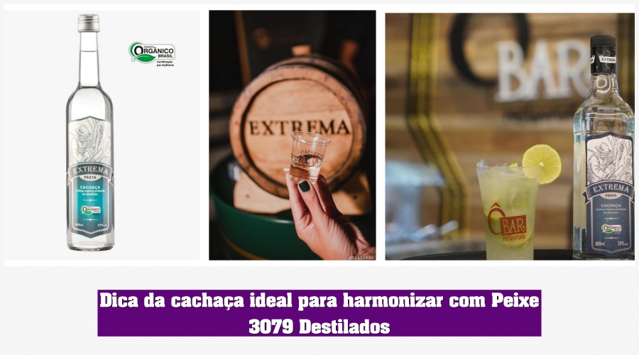 Agenda News - Especial Peixe: restaurantes especializados em peixe em Porto Velho - News Rondônia