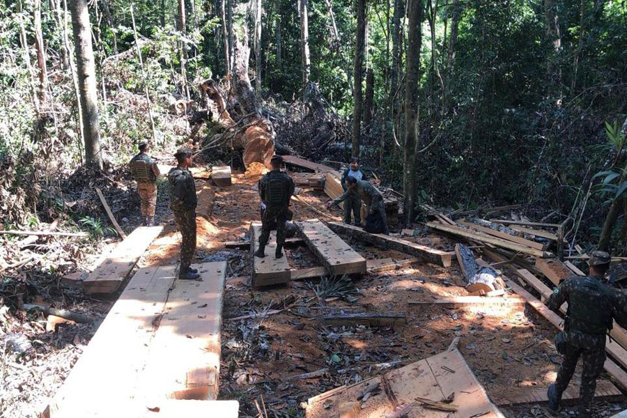 17ª BDA INF SL encerra operação Curaretinga (Castanheira II) - News Rondônia