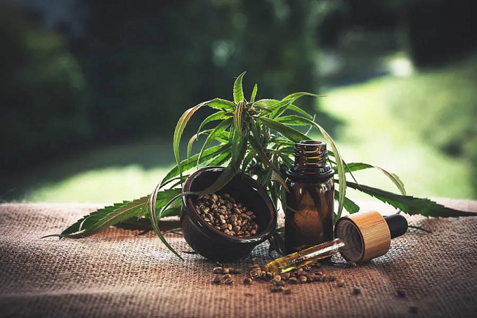 Cannabis medicinal: conheça histórias de quem luta para ter o remédio - News Rondônia