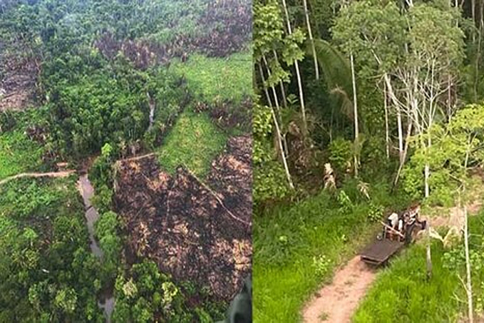 MP e Estado de Rondônia obtêm liminar que restabelece ordem de desocupação do Parque Estadual Guajará-Mirim - News Rondônia