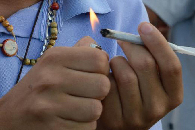 Legalizar cannabis pode aumentar uso sem reduzir criminalidade - News Rondônia