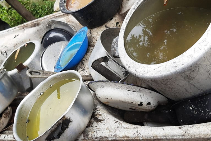 ARBOVIROSES - Agevisa intensifica o alerta quanto às medidas de prevenção à dengue - News Rondônia