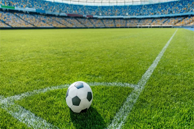 Psicologia betsport: como lidar com suas emoções e permanecer racional - News Rondônia