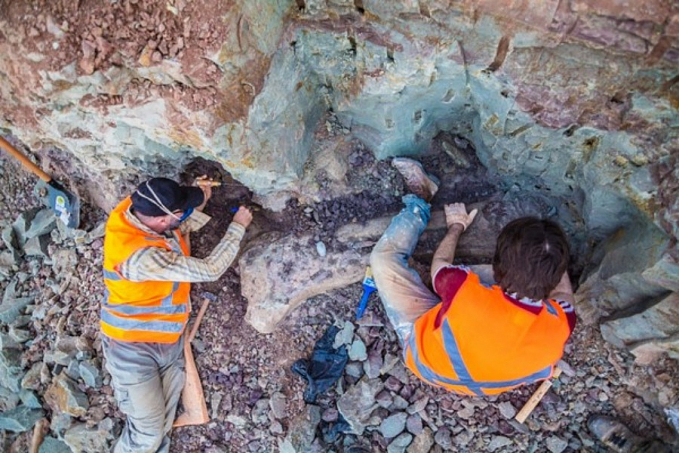 Fóssil de dinossauro com mais de 100 milhões de anos é encontrado no Brasil - News Rondônia
