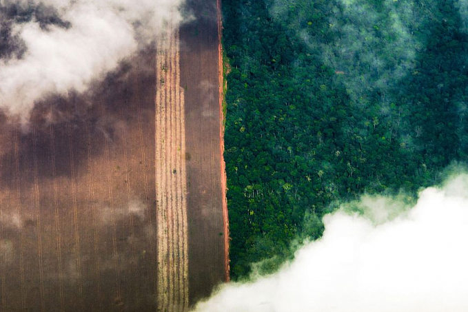 Marina Silva alerta para destruição irreversível da Amazônia - News Rondônia