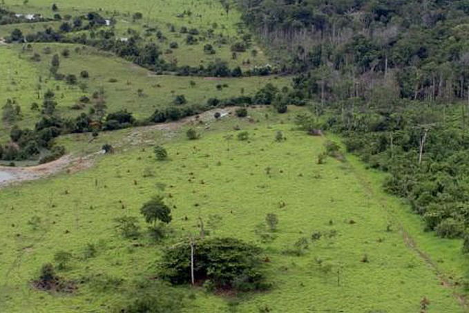 Prazo de entrega da declaração do ITR acaba hoje - News Rondônia