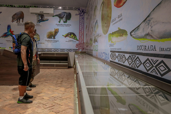 MEIO AMBIENTE - Museu do Acervo Biológico será reinaugurado na sexta-feira (25) - News Rondônia