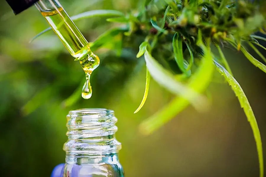 Assembleia aprova projeto que autoriza fornecimento de medicamentos à base de canabidiol - News Rondônia