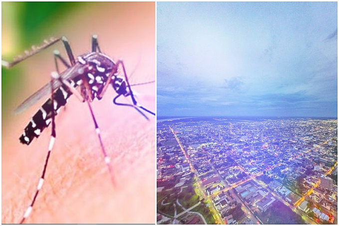 Pandemia x Dengue: doença avança e estudo revela que a população do Norte se descuidou - News Rondônia