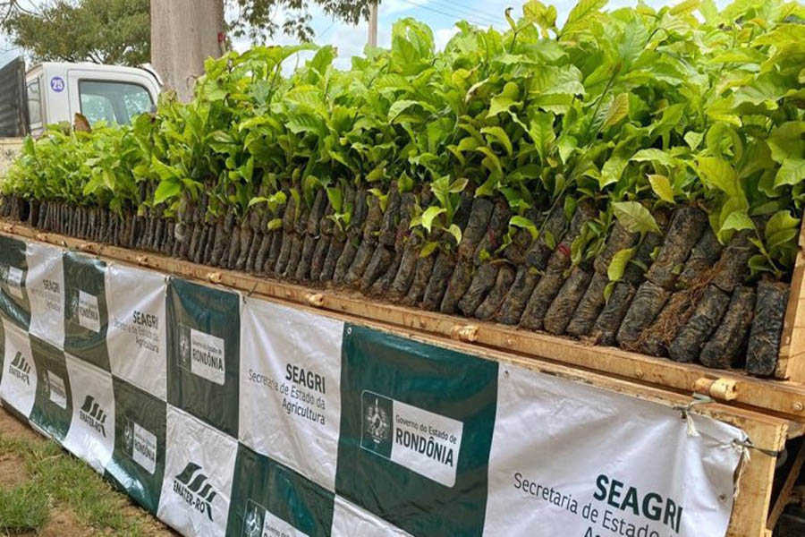 Com diversos programas e investimentos em maquinários, região do Cone Sul se destaca no fomento da agricultura no Estado - News Rondônia