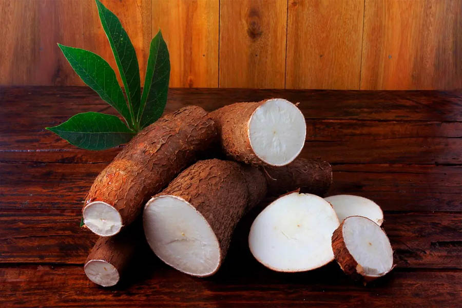Preços da mandioca devem permanecer em alta - News Rondônia
