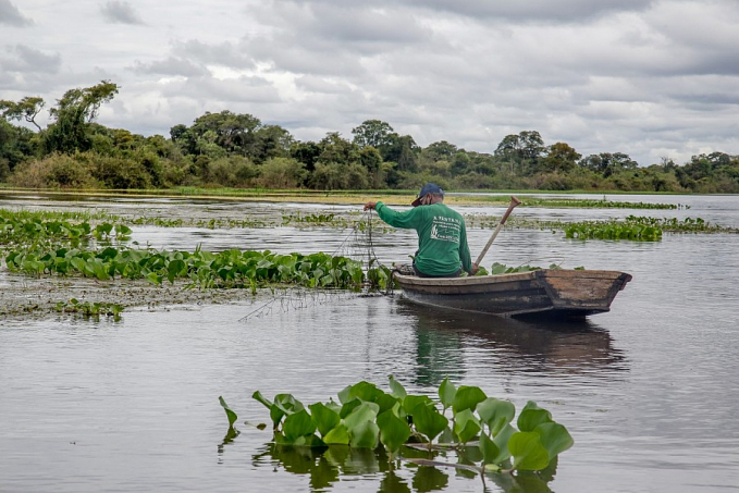 Período do defeso de algumas espécies de peixes segue nos rios de Rondônia - News Rondônia