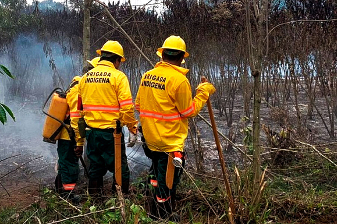 Suruís são capacitados na 1ª formação de brigadistas indígenas de Rondônia - News Rondônia