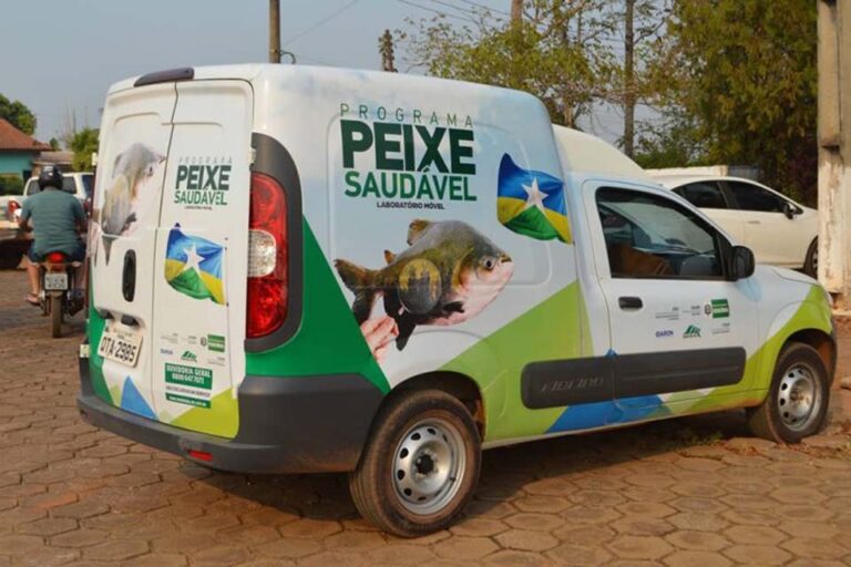 Peixe de cativeiro produzido em Rondônia é a melhor opção de consumo - News Rondônia