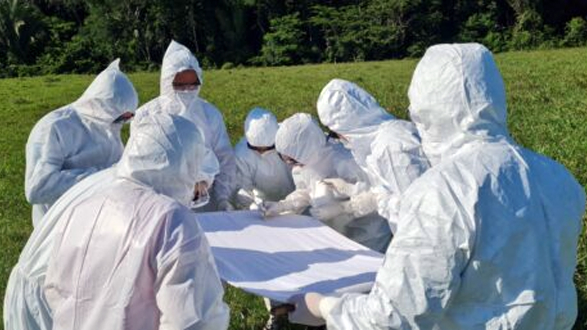 Agevisa em parceria com o Lacen realiza curso de Vigilância em Saúde Ambiental para técnicos de zoonoses, em Ariquemes - News Rondônia Agevisa em parceria com o Lacen realiza curso de Vigilância em Saúde Ambiental para técnicos de zoonoses, em Ariquemes - News Rondônia