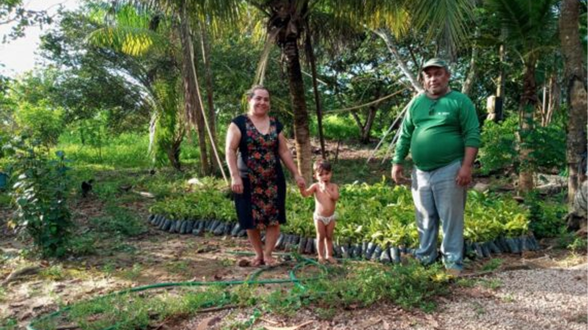 Programa Plante Mais fortalece agricultura familiar com distribuição de mudas e sementes aos produtores rurais