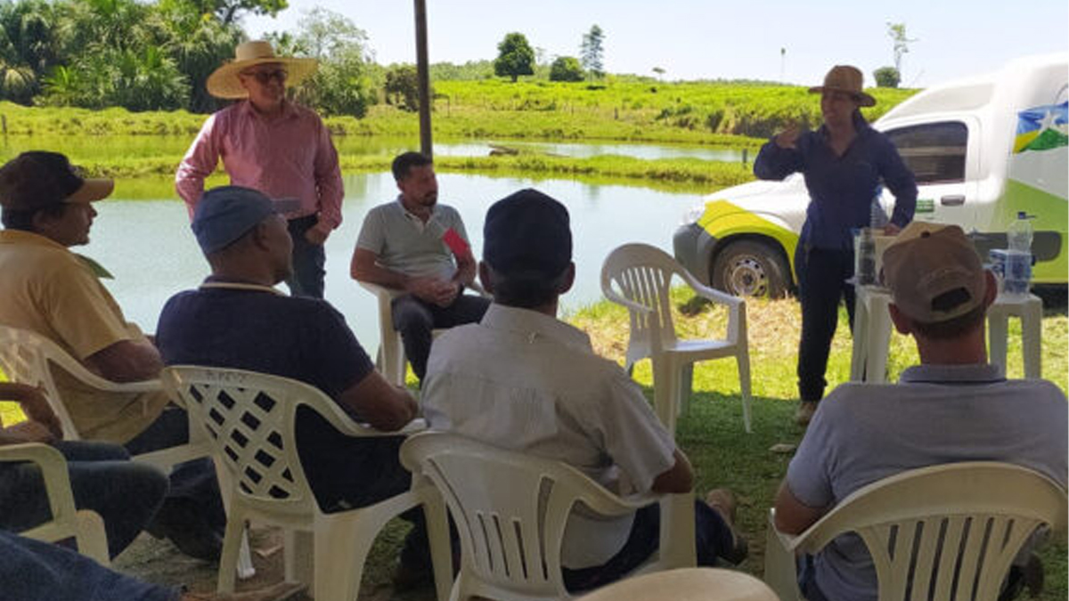 Programa Peixe Saudável aplica boas práticas de manejo para avançar no desenvolvimento da piscicultura