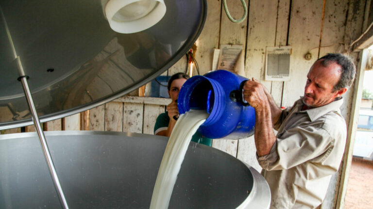 No Dia Mundial do Leite, Rondônia apresenta uma produção significativa