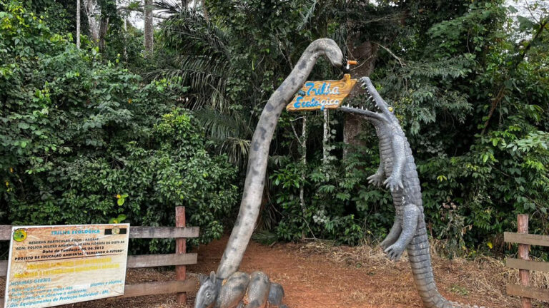 Programação da Semana do Meio Ambiente em Alta Floresta D’Oeste segue até o dia 7 de junho - News Rondônia