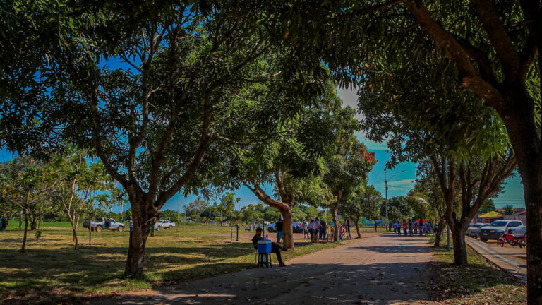 Atividades referentes à Semana do Meio Ambiente serão realizadas entre os dias 9 e 13 de junho nos municípios