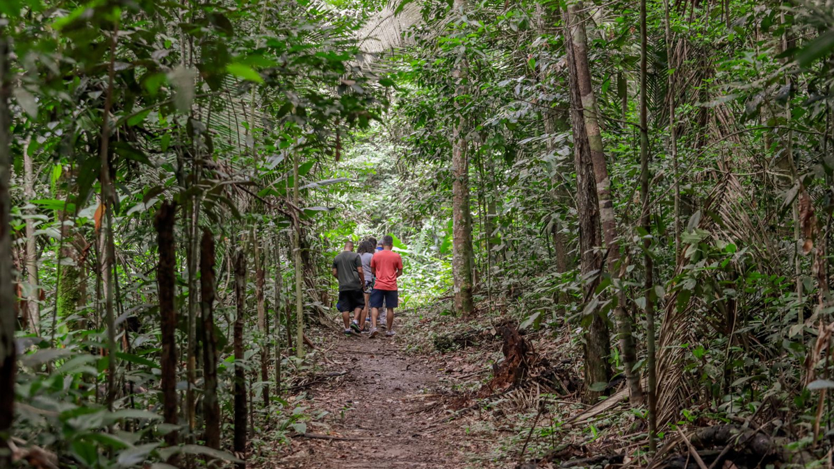 Ações da Semana do Meio Ambiente acontecem em diversos pontos da capital - News Rondônia