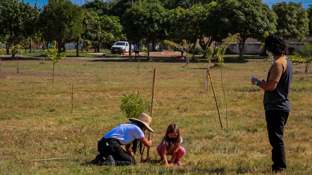 Atividades em alusão à Semana do Meio Ambiente são realizadas no município de Buritis