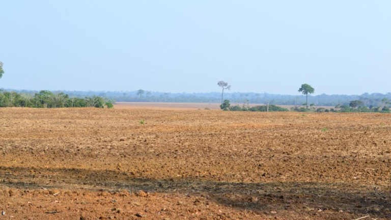 Idaron chama atenção para início do vazio sanitário da soja que começa neste mês