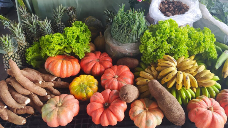 Agricultores familiares farão primeira entrega de alimentos doados a pessoas em situação de insegurança alimentar - News Rondônia