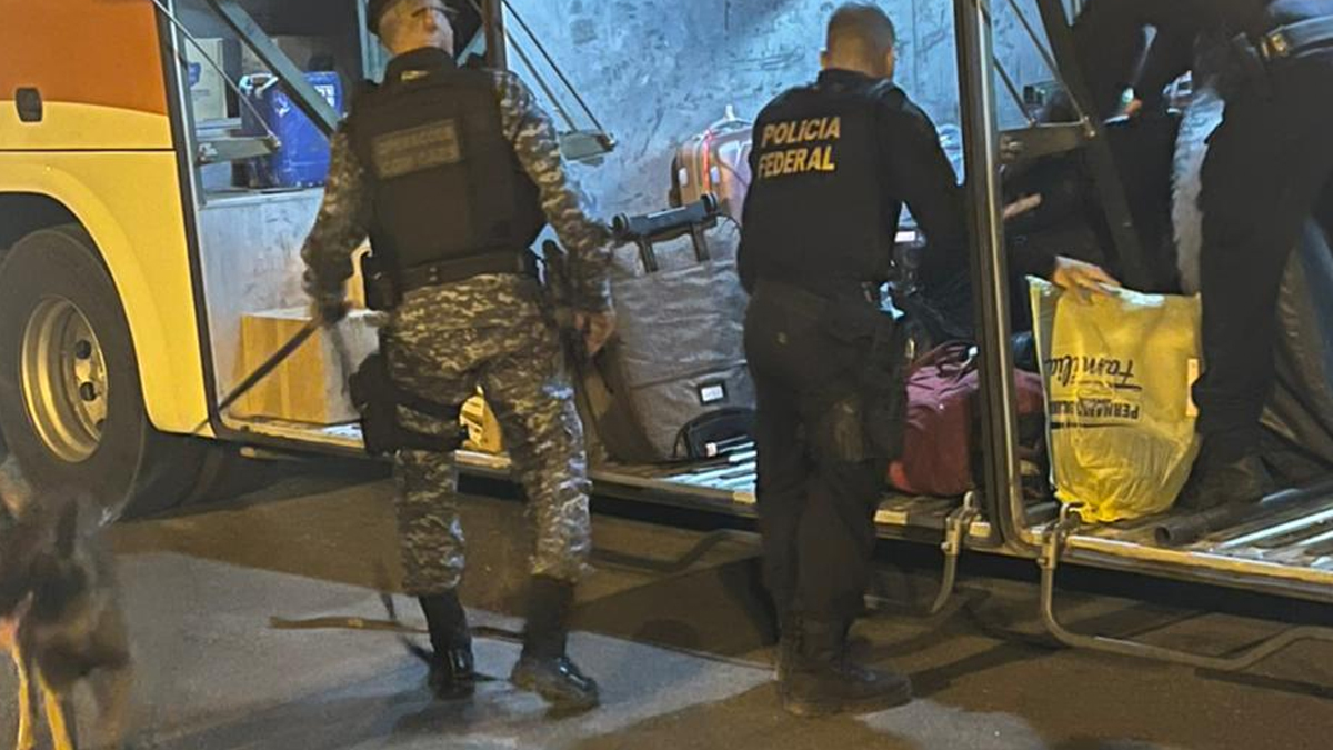 PF incinera mais de 100 quilos de drogas em Vilhena - News Rondônia