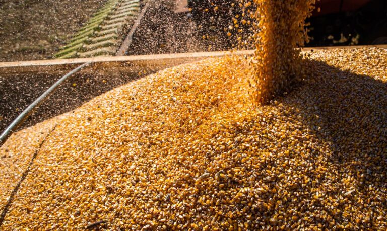 Após 6 anos, Conab retoma política de estoques públicos de alimentos