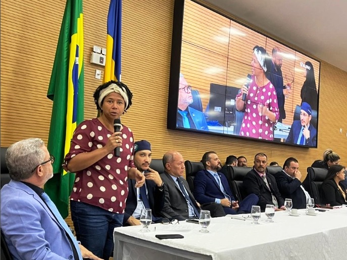 Deputada Sílvia Cristina volta a defender regularização fundiária, audiência que discutiu embargos do Ibama