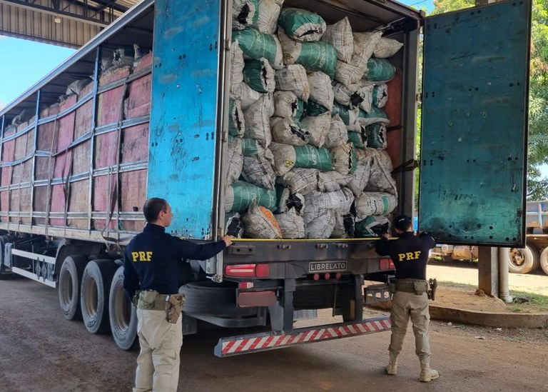 Em Rondônia, PRF apreende mais de 110m³ de produtos florestais em desacordo